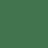 StoColor Tint laubgrün 0,75 l