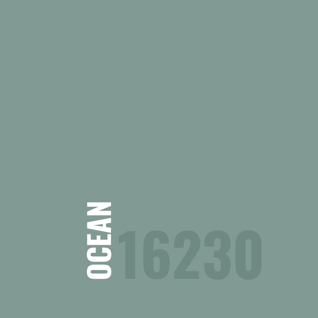 OZEAN 16230